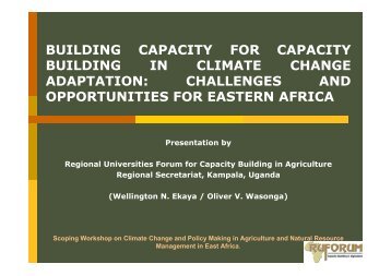building capacity for capacity building in climate change adaptation