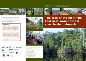 The case of the Air Hitam Laut peat swamp forest river basin ...