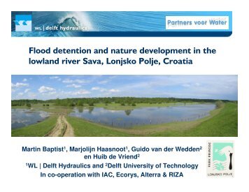 Maps of the lowland river Sava