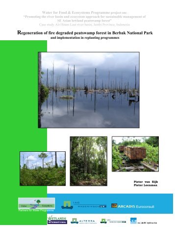 Regeneration of fire degraded peatswamp forest in Berbak National ...