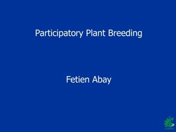 Participatory Plant Breeding Fetien Abay