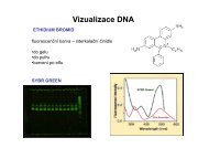 Vizualizace DNA