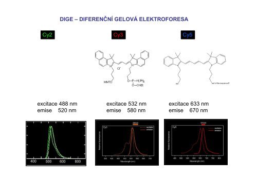 Vizualizace DNA