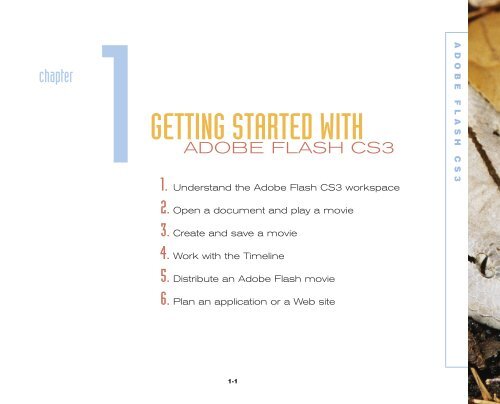 Adobe flash cs3 tutorials for beginners pdf download jeff nippard program pdf free download