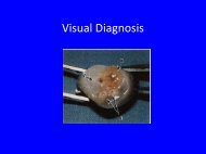 Visual Diagnosis