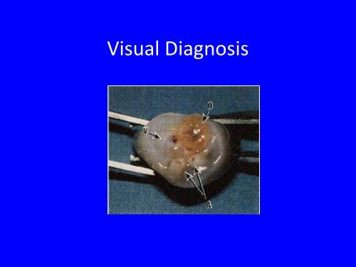 Visual Diagnosis