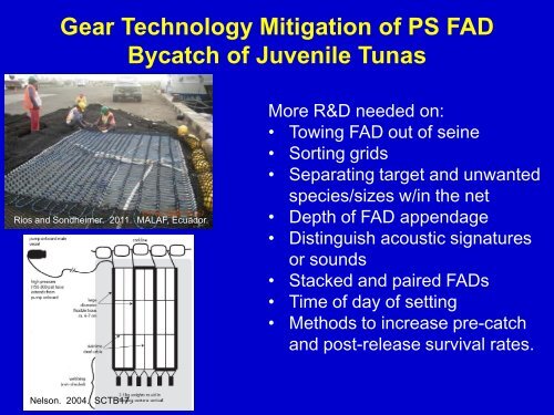 Bycatch - Towards ecosystem-based management of tuna fisheries