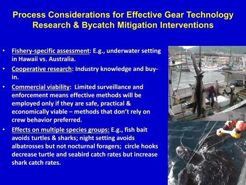 Bycatch - Towards ecosystem-based management of tuna fisheries