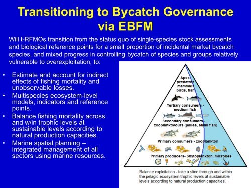 Bycatch - Towards ecosystem-based management of tuna fisheries