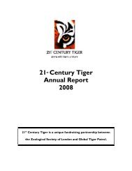 21st Century Tiger Annual Report 2008 (PDF 2592Kb)