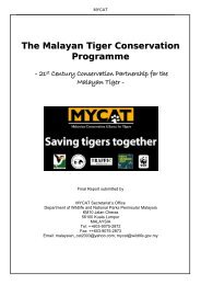 MYCAT final report 2006-07 - 21st Century Tiger