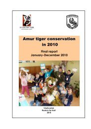 Phoenix Fund Final report 2010 - 21st Century Tiger