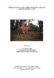 WCS Reducing Wildlife Mortality Final report 2010 - 21st Century Tiger