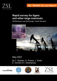 ZSL 2007 Rapid survey for tigers - 21st Century Tiger