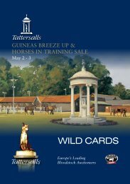 Wildcards PDF - Tattersalls