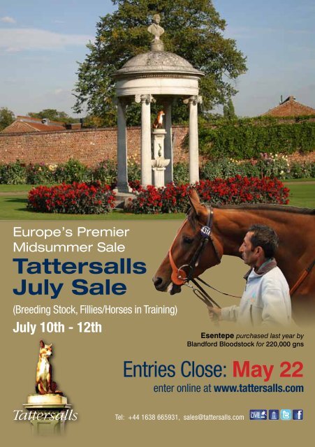 Wildcards PDF - Tattersalls