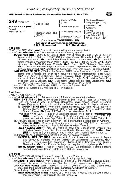 October Yearling Sale Book 1 - Tattersalls