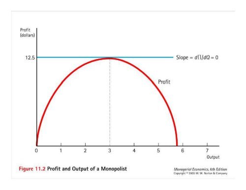 Monopoly and Monopolistic Competition