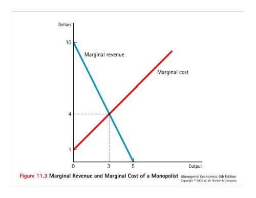 Monopoly and Monopolistic Competition