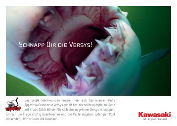 Schnapp Dir die Versys! - Kawasaki