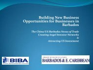 Building New Business Opportunities for Businesses in Barbados