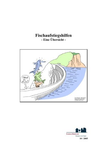 Fischaufstiegshilfen - Eine Übersicht