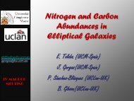 Nitrogen and Carbon Abundances in Elliptical Galaxies - magpop