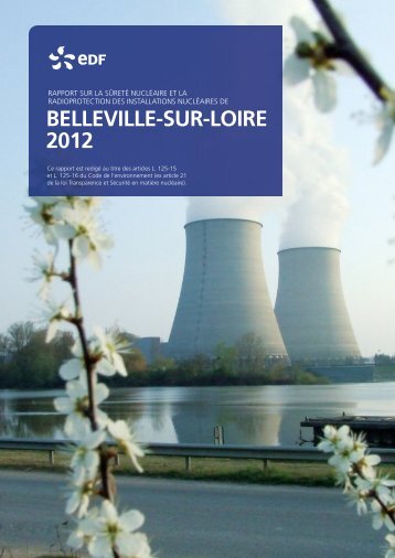 Rapport TSN 2012 - Energie EDF