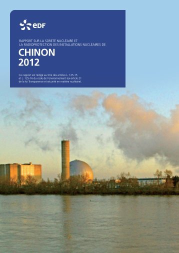 Rapport ex-TSN 2012 - Energie EDF