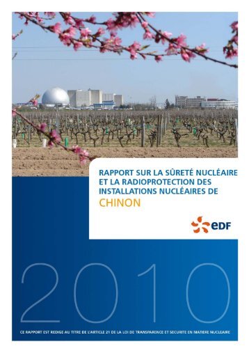 Rapport TSN 2010 - Energie EDF