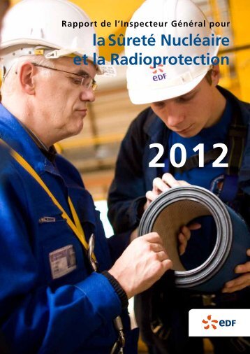 Rapport de l'Inspecteur Général pour la Sûreté ... - Energie EDF