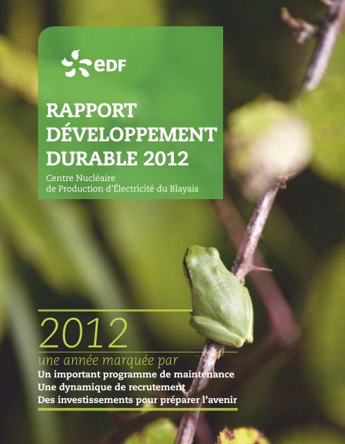 Rapport Développement Durable 2013 (10,2 Mo) - Energie EDF
