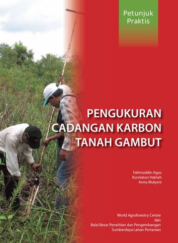 Pengukuran Cadangan Karbon Tanah Gambut (2011)