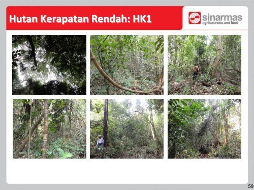 4. Pengelolaan Perkebunan Kelapa Sawit Berkelanjutan