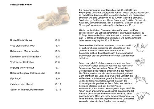 Die Körpertemperatur einer Katze liegt bei 38 – 38,5°C. Ihre