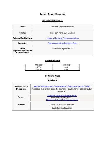 Detailed ICT data for Cameroon - Commonwealth ...