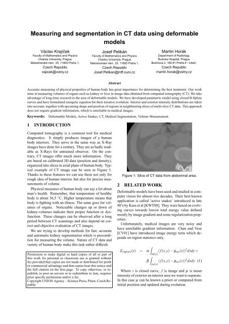 Measuring and segmentation in CT data using deformable models