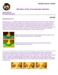 Disorders of the Neuromuscular Junction