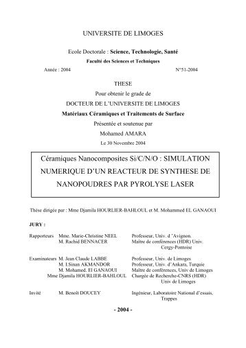 Céramiques Nanocomposites Si/C/N/O - Epublications - Université ...