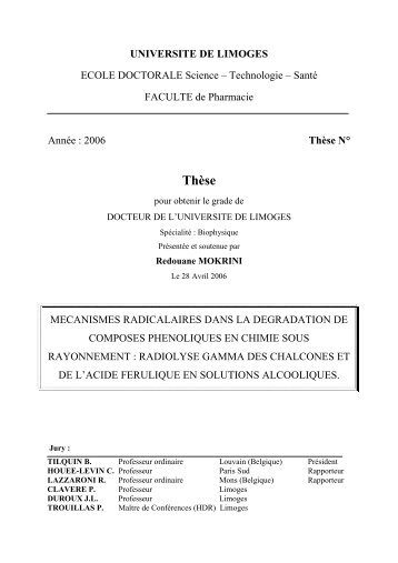 radiolyse gamma des chalcone - Epublications