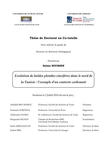 Evolution de haldes plombo-zincifères dans le nord de la Tunisie : l ...