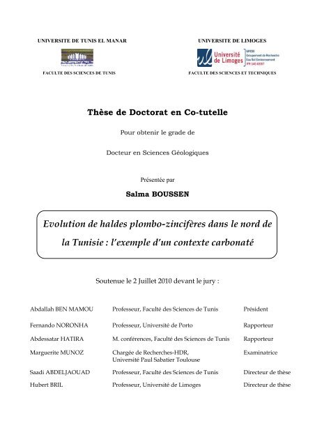 Evolution de haldes plombo-zincifères dans le nord de la Tunisie : l ...