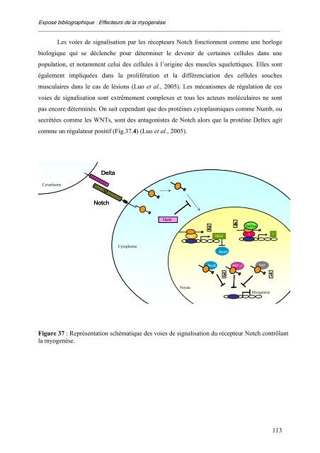 caractérisation des enzymes bovines et étude préliminaire du rôle ...