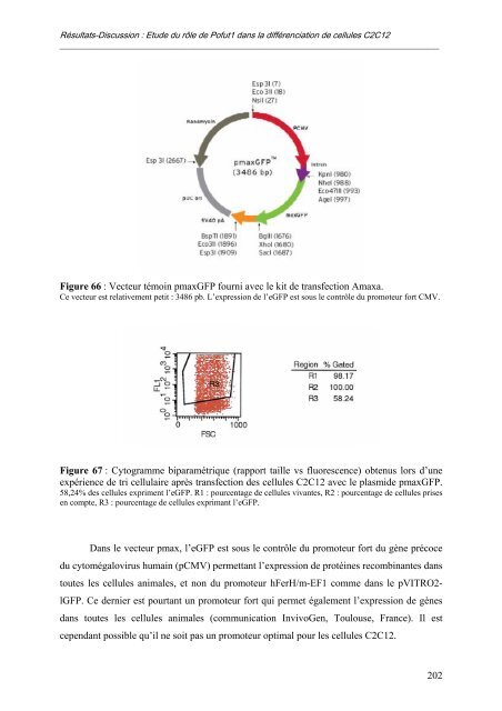 caractérisation des enzymes bovines et étude préliminaire du rôle ...