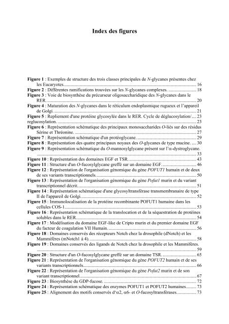 caractérisation des enzymes bovines et étude préliminaire du rôle ...