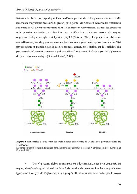 caractérisation des enzymes bovines et étude préliminaire du rôle ...