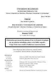 Elaboration par projection plasma d'un revêtement céramique sur ...