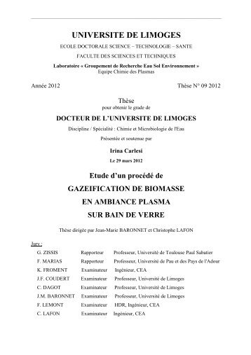 Etude d'un procédé de gazéification de biomasse en ambiance ...
