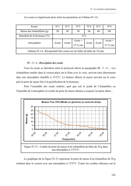 Etude d'un procédé de gazéification de biomasse en ambiance ...