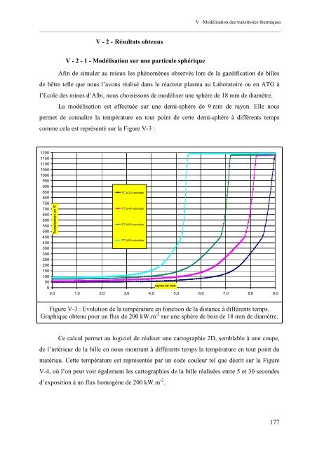 Etude d'un procédé de gazéification de biomasse en ambiance ...